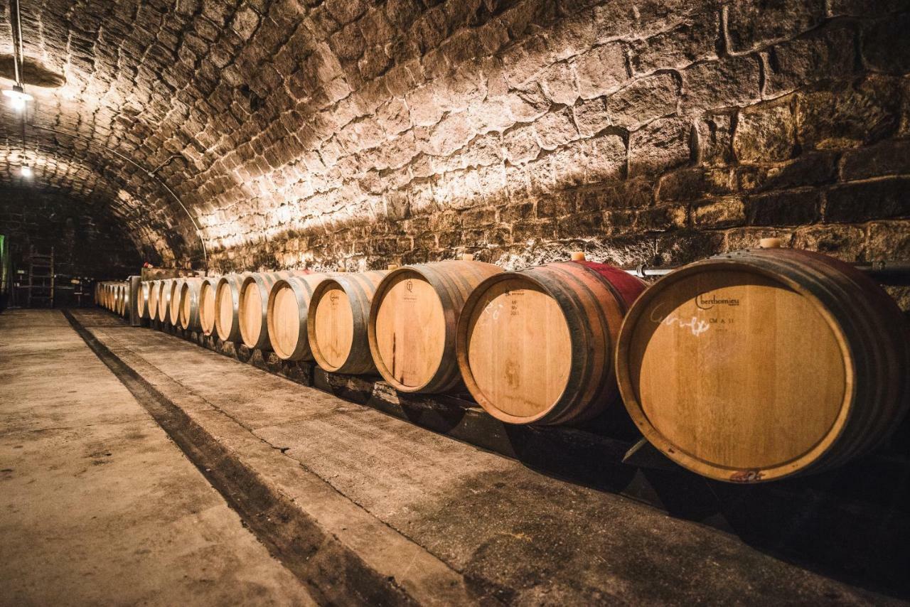 Weingut Gästehaus D&D Haider Jois Exterior foto
